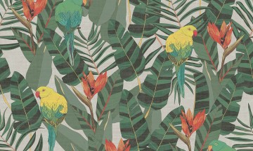 13570 jf5i papegaai vogels