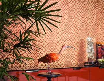 Amazonmaze arte wals