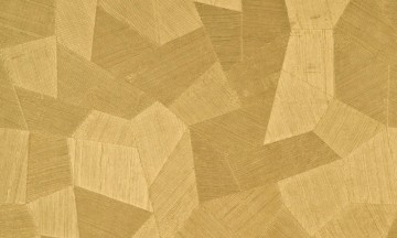 Behangdealer den haag