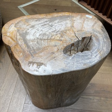 Boomstam versteend hout stoop furniture